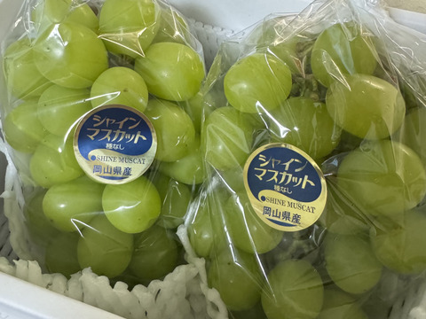 シャインマスカット1.2kg（岡山県産・種なし）：岡山県産の
