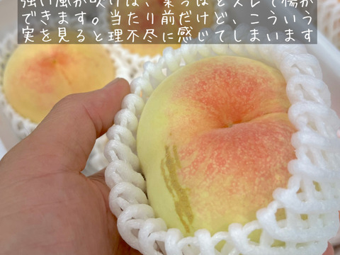 【訳あり品】岡山の桃　小箱４～６玉