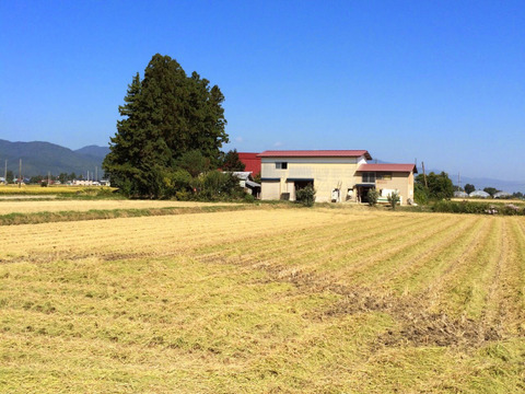 【令和5年産】はえぬき【玄米5キロ+白米5キロ】10kgセット  山形県飯豊町産