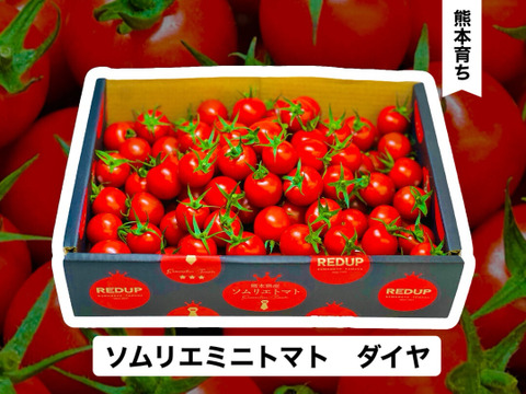 塩トマトのようなフルーツトマト】ソムリエミニトマト ダイヤ