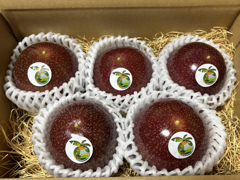 贈答用‼︎南国のパッションフルーツ‼︎5個入り