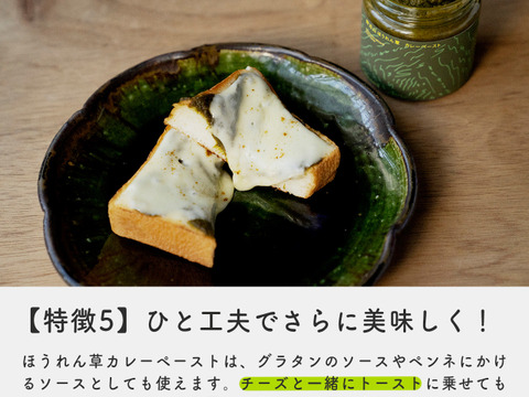 【予約販売：11月中旬】野辺山ほうれん草カレーペースト3個セット