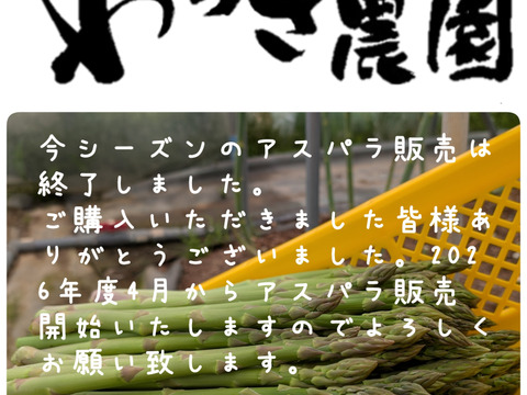 ✩.*˚北海道産 800g M～2Lサイズ アスパラ！✩.*˚
