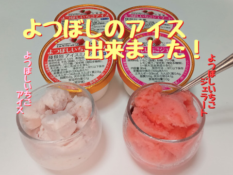人気の『よつぼしいちご』使用！後味さっぱり♪アイスと