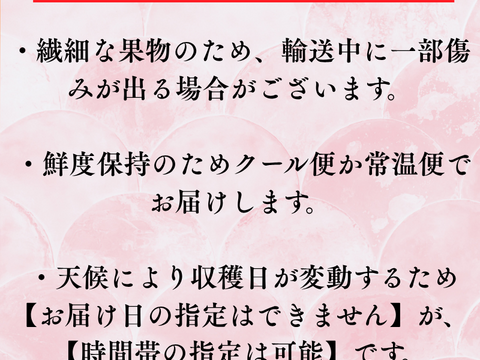 【常温便】採れたて さくらんぼ 甘い 旬1200g 佐藤錦  紅秀峰 秋田県産 サクランボ  家庭 贈答 三関 8パック 家庭用 お中元 ギフト さくらんぼ 家庭用