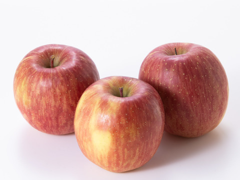 特選🍎贈り物にも！低農薬で皮ごと食べられる青森りんご「葉とらずふじ」5kg