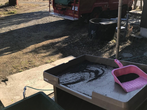 国産のゴマは希少です！しかも無農薬！このお値段はお買い得！香り高い"黒胡麻"(生) 40g