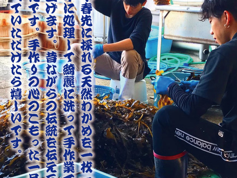 越前産 天然 干し板わかめ 20g 3パック
