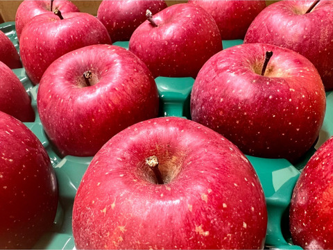 (予約開始)糖度13以上❗️青森県産サンふじ家庭用キズあり約10kg