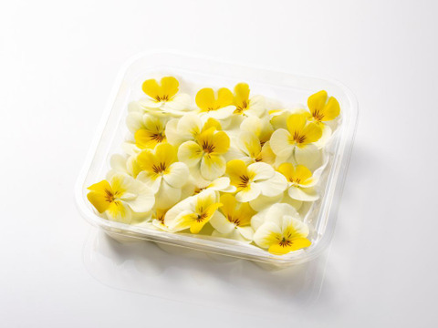 美食の演出！エディブルフラワー『SANOKA』ビオラ クリームイエローリップ 20輪入り 食用花 ケーキ スイーツ デコレーションにも！