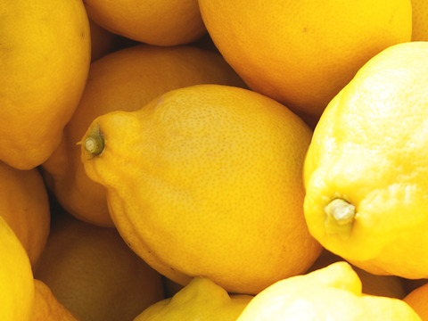 国産レモン『璃の香（りのか）』　1ｋｇ/奈良県吉野産