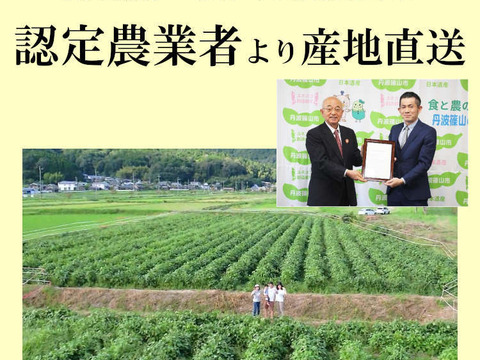 丹波篠山 黒枝豆 枝豆 丹波 黒豆 600g × 5 丹波篠山産 2024年 丹波 枝豆 もっちり 黒大豆 大粒 波部黒 丹波黒 高級 3000g 黒大豆枝豆 枝なし さや