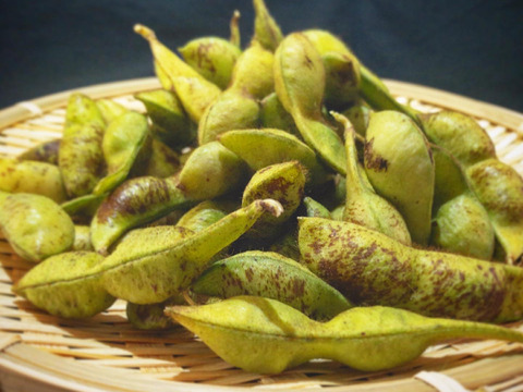 ほっくりコク旨丹波篠山黒枝豆を日時指定便でお届けします♪