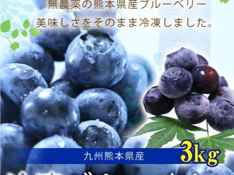 熊本産丸ごと大粒冷凍ブルーベリー3キロ