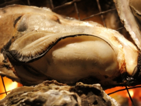 三重県産 浦村かき  むき身500g＋殻付き20個 ×3箱
（1箱あたり、約2.7kg前後、4～5人前）
【贈り物】【生牡蠣】【生食用】 母の日父の日