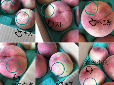 桃「玉うさぎ」家庭用5kg（10〜18玉）