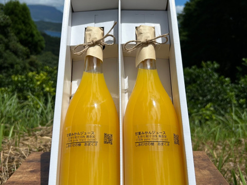 【冬ギフト】無添加甘夏ジュース果汁100% 2本（1本720ml）
