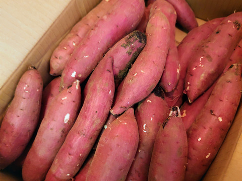 さつまいも(紅はるか)5kg S〜LLサイズ:茨城県産のべにはるか さつまいも(紅はるか)5kg S〜LLサイズ:茨城県産のべにはるか