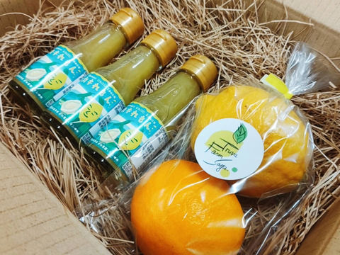 レモンチリソース『カキれもん』ご自宅用３本＋レモン２個セット