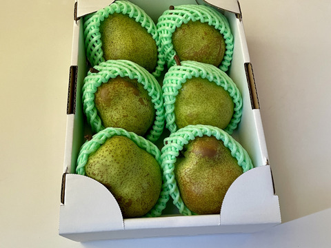 『ラ・フランス』 ２キロ 【食べごろがわかるリーフレット入り】【生産量日本一】【山形県天童市産】【🍐】【ラフランス】【西洋なし】【西洋梨】【冬ギフト】