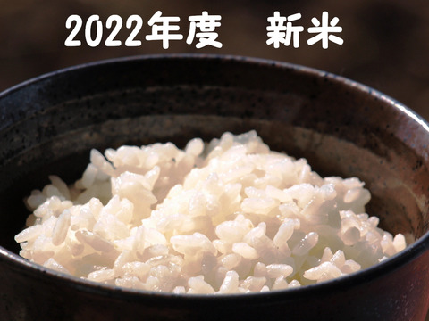2022年産新米　農薬化学肥料不使用／四万十産コシヒカリ「タケちゃん米」(白米）5ｋｇ　（リオレのレシピ付き）
