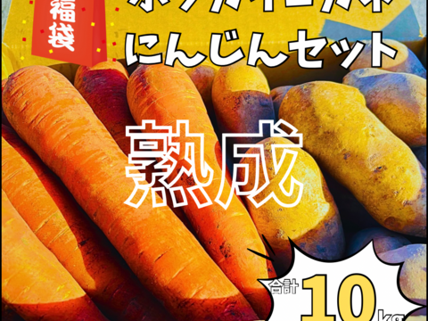 【福袋】『雪夏稚くん』のホッカイコガネ5kg＆人参5kgセット【熟成ギフト】合計10kg