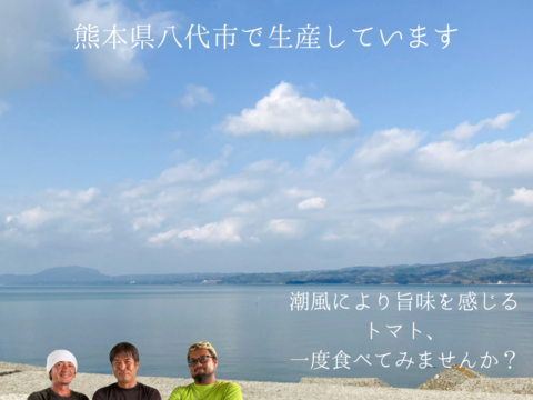 期間延長!!熊本県八代産 「Red i～紅～」お試しB級品１kg