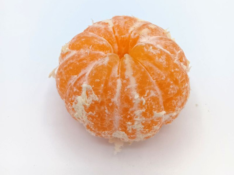 【お試しに】秋が旬！『早みかん』【1.8kg】