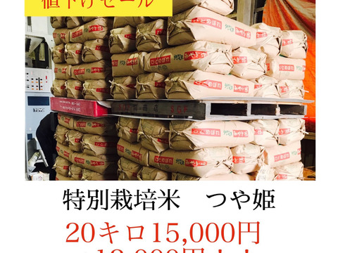 コロナ応援キャンペーン！光り輝く大粒米✼宮城県産特別栽培米つや姫20キロ