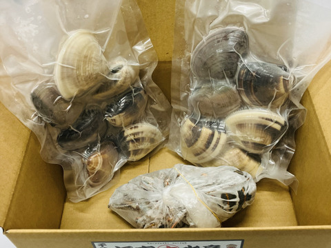 【福袋】冷凍伊勢海老、冷凍はまぐりセット③