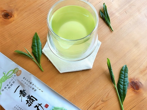 【200g×2袋】サッと淹れてゴクゴク飲める♪茶農家が一番茶100%でつくった深蒸し茶「一番摘み」