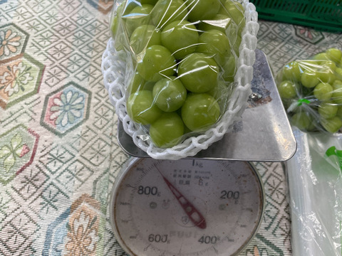 【最高級】プレミアムシャインマスカット山梨県産2房