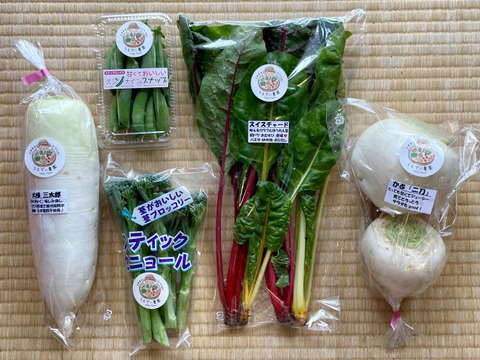 【父の日ギフト】濃甘！野菜セット5種類×2倍量 農薬・化学肥料不使用♪個包装
