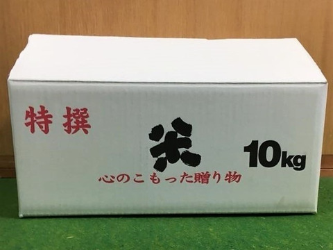 【年末セール】【令和7年新米】自然栽培「ミズホチカラ」精米　１０ｋｇ【冬ギフト】