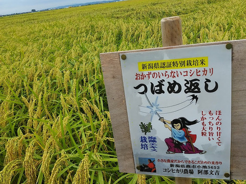 おかずのいらないコシヒカリ「つばめ返し」