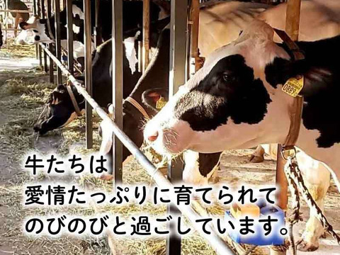 酪農家が本気で作った 葛アイスキャンディ 20本 4種×5本 ミルク コーヒー 抹茶 季節の果物