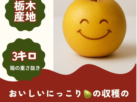 栃木県が誇るにっこり栃木産　3キロ(5-6個)