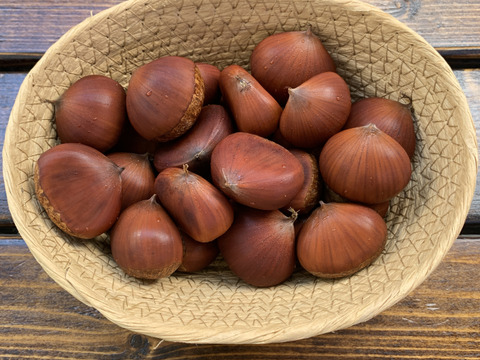 【1kg】秋の味覚『やまえ栗』M〜LLサイズの詰め合わせ！