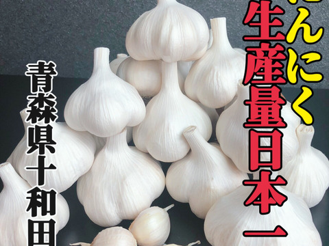テレビで紹介】話題の青森にんにく8玉（乾燥）にんにく農家