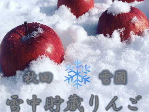 【ギフト専用】雪中貯蔵りんご 高糖度 大 ふじ 秀品 大切な方へ ギフト 誕生日 プレゼント 産直 入学祝い 母の日