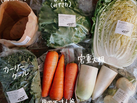野菜セット Sサイズ【7品】