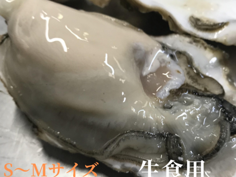 【生牡蠣】【生食用】三重県産 殻付き 浦村かき
S～Mサイズ 20個入り×5箱セット (2～4人前）
牡蠣 貝類 海鮮 BBQ バーベキュー 母の日父の日【冬ギフト】【生で食べれる美味い牡蠣】
