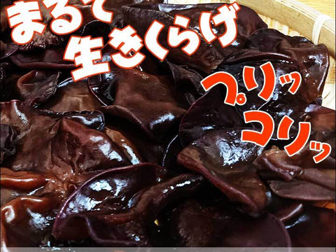 ＜乾燥40g＞栄養たっぷり！食感たのしい【国産】きくらげ