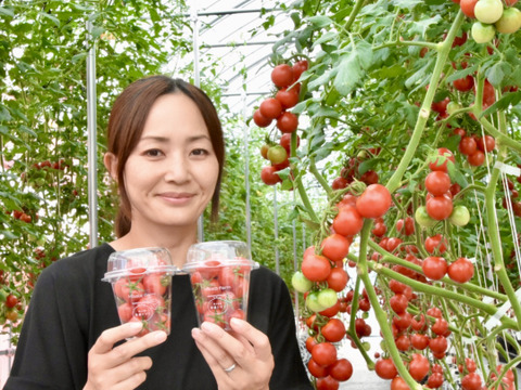 【金賞受賞】希少品種「プチぷよ」1箱40粒セット