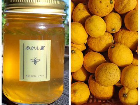【非加熱・純粋はちみつ】スッキリとした甘さとほのかな酸味が人気な希少蜂蜜 みかん蜜150g＆【防腐剤・農薬・ワックス・不使用】酸っぱいだけじゃない！甘みも感じるレモン1キロ　セット商品
