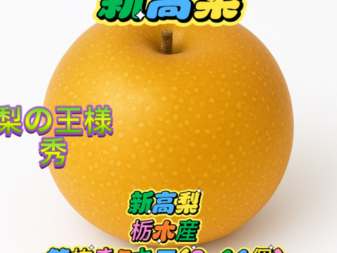 梨の王様　新高梨　栃木産　5キロ