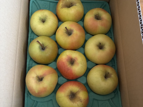 本当に最後40！【このりんごを嫌いな人はいますか？？】名月 3キロ箱 6玉〜16玉サイズ 商品ID44435 ぐんま名月 甘い 信州 リンゴ 幻 幻のリンゴ 予約 希少