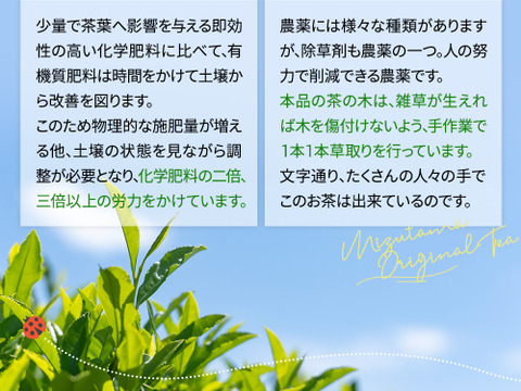 【メール便・単品】農薬も化学肥料も使わないで育てたお茶 茶葉100g 静岡
