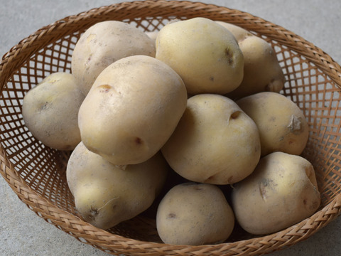 淡路島産🧅🥔セット✨約5kg
『玉ねぎ約4kg』と『新じゃがいも約1kg』📦✨
