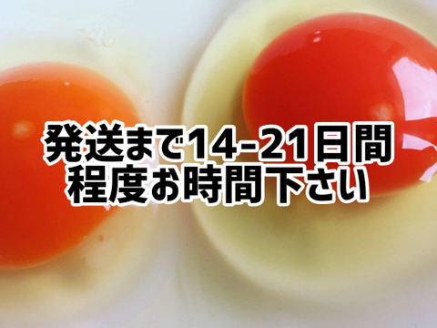 酵母を与えて育った平飼いたまご20個(元気たまご)
